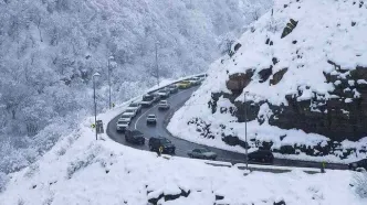 آغاز بارش شدید برف در جاده چالوس