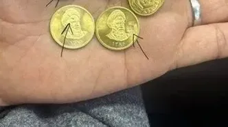 یک اتفاق عجیب در بازار ۱۴۱ میلیون تومانی سکه/ پای سکه‌های پلاستیکی به معاملات باز شد + عکس