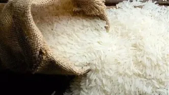 پیش‌بینی وزیر جهاد کشاورزی از قیمت برنج/ قیمت نهایی ۱۵ درصد کمتر از رقم فعلی بازار خواهد شد