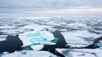 چرا انسان‌ها نمی‌توانند در قطب شمال زندگی کنند؟