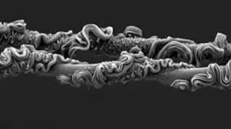 شاهکارهای عکاسی که برندۀ جایزه شدند؛ از «تار عنکبوت» تا «پروانه‌ای شبیه مار»