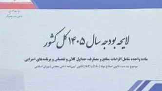 جزئیات بودجه ۱۴۰۵: مبنای محاسبه حقوق ورودی گمرکی اعلام شد