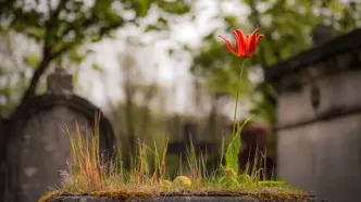 «تئوری تشییع جنازه» چیست و چرا برای خوشبختی توصیه می‌شود؟