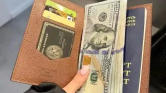 فروش ارز مسافرتی آغاز شد