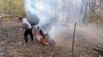 آتش‌سوزی در منطقه دشت شاد پارک ملی گلستان مهار شد/ بی‌توجهی گردشگران علت حادثه