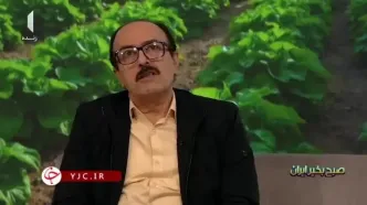 ببینید؛ بخش‌هایی از کشور که ممکن است مورد حمله ملخ‌های مهاجر قرار بگیرد