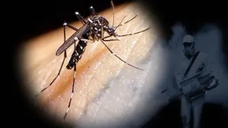 تهدید ۴ بیماری مهم پس از بارندگی ها در کیش