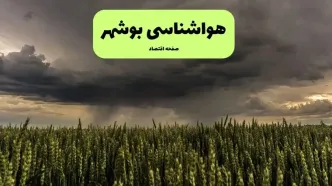 پیش بینی وضعیت آب و هوا بوشهر فردا جمعه ۲۱ آذر ۱۴۰۴ + هواشناسی بوشهر