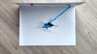 به همین سادگی یک نقاشی 3 بعدی شگفت‌انگیز بکشید!