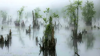 دریاچه ارواح؛ ترسناک ترین دریاچه نوشهر + لوکیشن دقیق