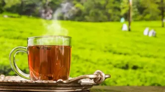 نوشیدن چای چه تاثیری روی جذب آهن می‌گذارد؟