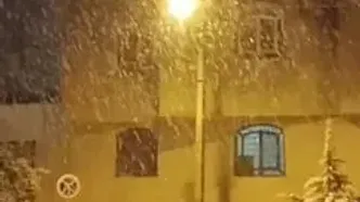 بارش برف در شیراز آغاز شد؛ گزارش زنده از هوای زمستانی شهر + ویدئو