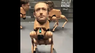 عجیب اما واقعی؛ سگ‌های رباتیک با چهره ایلان ماسک و  مارک زاکربرگ!+فیلم