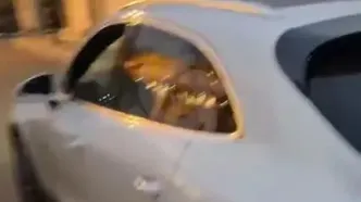 واکنش رامین رضاییان به شایعه درگیری با ساپینتو