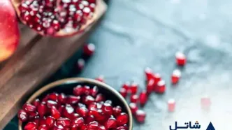 تخفیف ویژه یلدایی شاتل موبایل برای بسته‌های اینترنت پرحجم