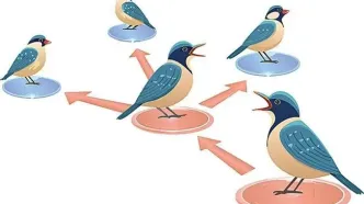 حیوانات هم فیک نیوز منتشر می‌کنند / کشف راز اطلاعات غلط در طبیعت