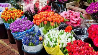 انفجار قیمت گل در آستانه روز مادر | سبدهای هدیه از ۳ تا ۶ میلیون!