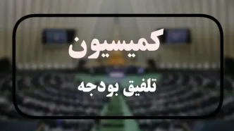 کلیات لایحه بودجه ۱۴۰۵ رد شد