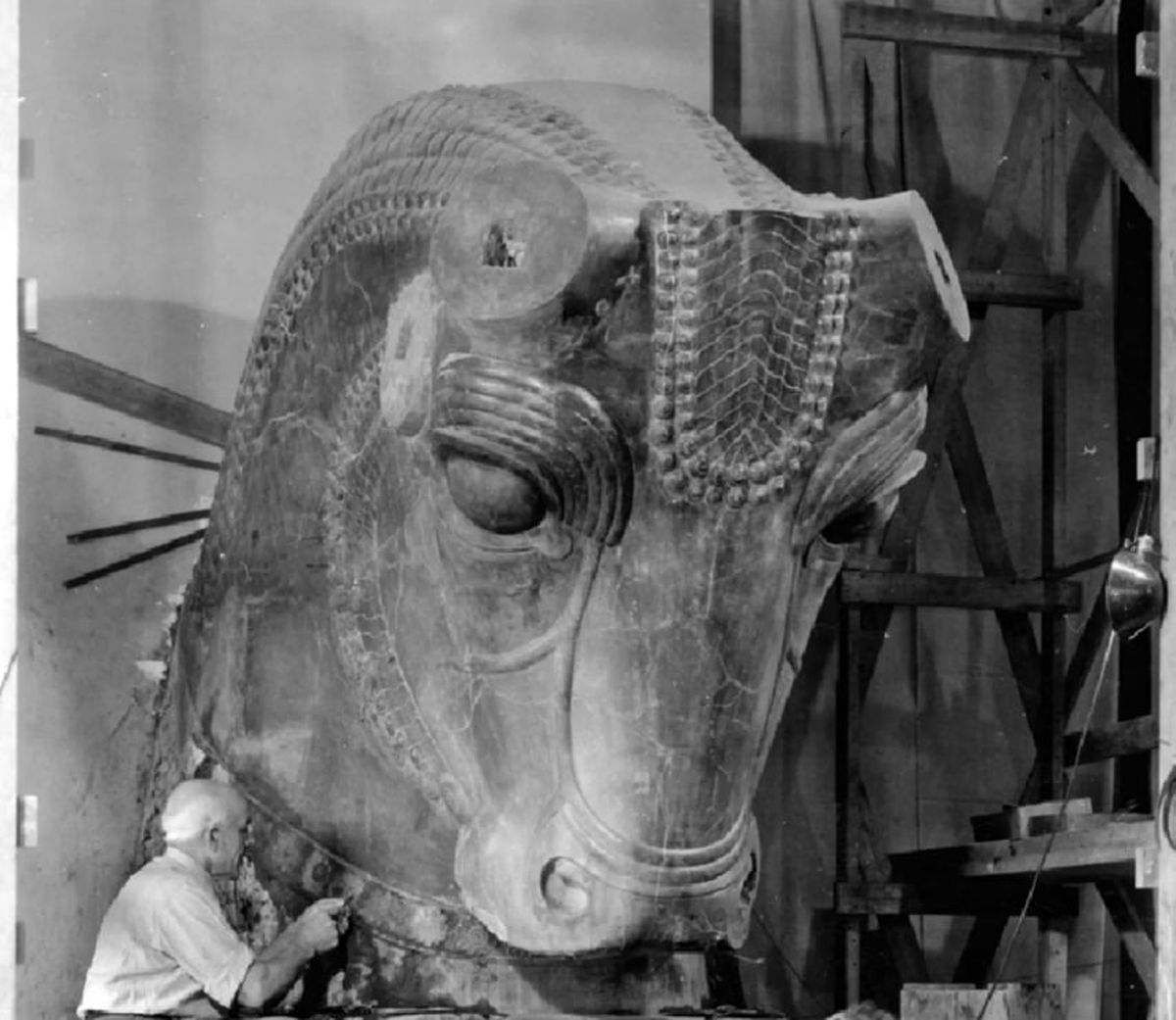 گاو سنگی هخامنشی در شیکاگو است!