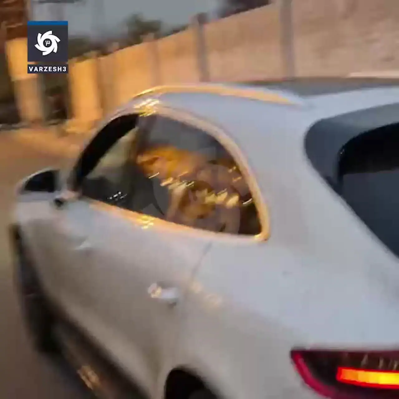 واکنش رامین رضاییان به شایعه درگیری با ساپینتو+ فیلم