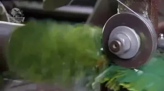 فرآیند دیدنی تولید درخت های کریسمس مصنوعی در آمریکا