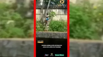 فیلم صفر تا صد خورده شدن پسر جوان توسط شیر باغ وحش