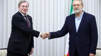 دیدار علی لاریجانی با معاون نخست‌ وزیر فدراسیون روسیه/ ایران تصمیم خود را برای عملیاتی‌سازی کریدور شمال ـ جنوب اتخاذ کرده است