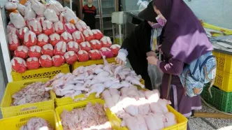 زنگ خطر گرانی مرغ به صدا درآمد