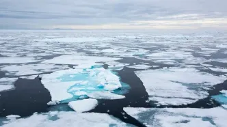 چرا هیچ‌کس نمی‌تواند در قطب شمال زندگی کند؟