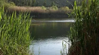 آبگیری حدود ۳۰ درصدی تالاب و مراتع جازموریان در جنوب کرمان