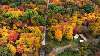 در قلب هیرکانی میهمانش باش، صاحبش نه!