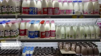 بازگشت گسترده لبنیات از فروشگاه‌ها؛ علت چه بود؟