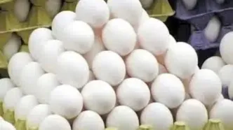 قیمت تازه تخم‌مرغ در خرده‌فروشی‌ها اعلام شد