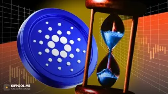 فوری | جهش ۴٪ کاردانو پس از لیست شدن توکن NIGHT در بایننس