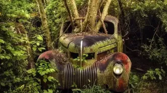 زیبایی وهم‌آلود خودروهایی که به تصرف طبیعت درآمده‌اند