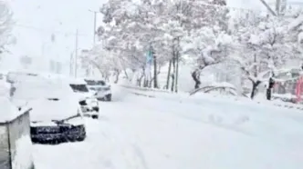 شادی زمستانی مردم فریدونشهر پس از بارش برف