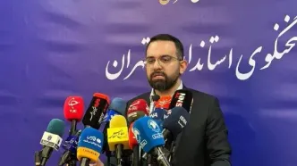 راهکارهای کنترل آلودگی هوای تهران از زبان سخنگوی استانداری