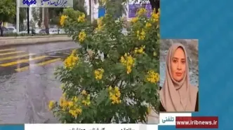 آیا مدارس کرمان فردا دوشنبه ۱ دی ۱۴۰۴ تعطیل است؟ | تعطیلی مدارس کرمان دوشنبه