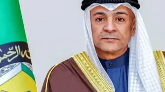 دبیرکل شورای همکاری خلیج فارس: نمی‌خواهیم ایران سقوط کند