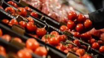 جهش ۴۳ درصدی قیمت گوجه فرنگی در آبان ۱۴۰۴