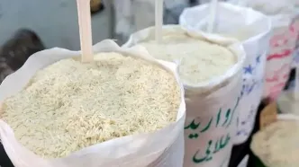 قیمت برنج بالاخره عقب نشست | برنج هندی چقدر ارزان شد ؟