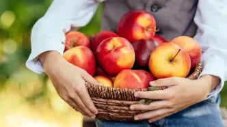 سیب: راز مقابله با ضعف و سستی ناشی از افزایش سن!