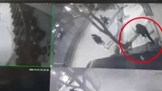 فیلم ضرب و شتم وحشتناک در بلوار دانشجو مشهد/ دو مهاجم با چماق مرد جوان را هدف گرفتند!