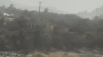 سیلاب گسترده در کالیفرنیا در پی بارش بی سابقه در ۵۰ سال گذشته