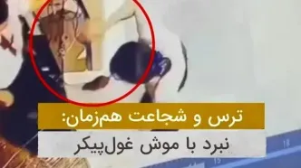 دختر جوان، موش غول‌پیکر را با پاهایش گرفت!