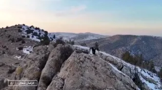 حمله عقاب به دوربین صداوسیما در خراسان شمالی/ویدیو