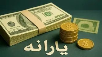 تصمیم جدید دولت برای یارانه بگیران | واریز سه یارانه جدید در دستور کار قرار گرفت !