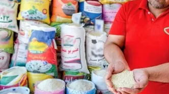 برنج بالاخره ارزان شد