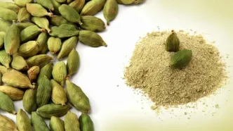 در زمستان سرد، این ادویه را به رژیم غذایی‌تان اضافه کنید