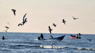 هشدار رئیس هواشناسی کشور: تبخیر افسارگسیخته و کاهش ورودی‌ها، دریای خزر را در آستانه افت تراز بی‌سابقه قرار داد